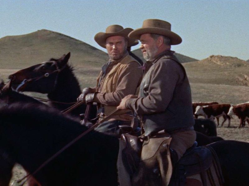 REVIEW: Wichita (1955)